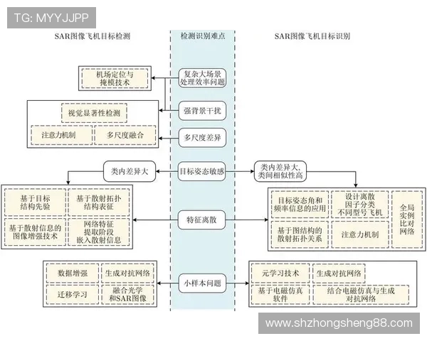 北京排球队灵活性分析与战术调整的深度探讨与展望