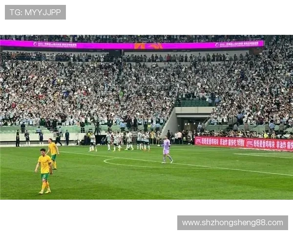 城市马拉松精彩回顾杭州飞盘队展现出色实力与团队精神